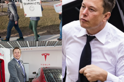 Elon Musk receives bad news one after another: The number of Tesla car returns has increased to a record high, loyal customers “turn their backs”, market share is at high risk of falling into the hands of competitors… It is known that revenue has dropped the most in the past 2 years!