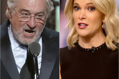 MEGYN KELLY’S PEAK ASSAULT: Tearing Robert De Niro apart with venomous words, calling him “the pinnacle of stupidity,” igniting a fierce Hollywood battle that leaves the public stunned and threatens to crush the legacy of icons!