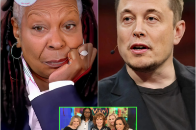 BREAKING: Elon Musk has made a bold decision: spending millions on a public campaign to shut down “The View” in an effort to gain support for ending the misogynistic show.