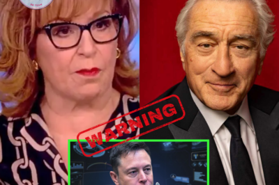 Joy Behar has another ally in Robert De Niro. He defends and criticizes Elon Musk on ‘The View’. The show gets another warning.
