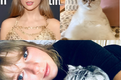 Inside the Glamorous Life of Taylor Swift’s Cats. The singer has been open and honest with fans about her love for a few four-legged friends