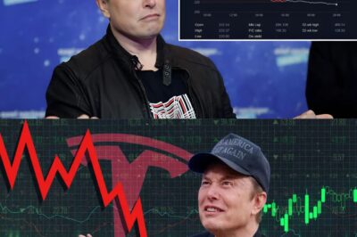 SH0CK: Elon Musk Loses $29 Billion Overnight in a Shocking Financial Freefall!