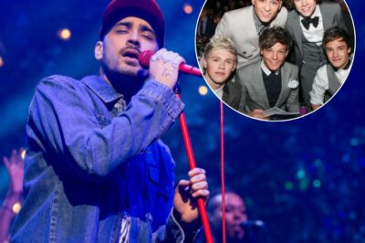 WATCH the heartbreaking moment Zayn Malik sings a One Direction song for the first time in 10 YEARS — taking fans back to the good old days with Liam Payne.