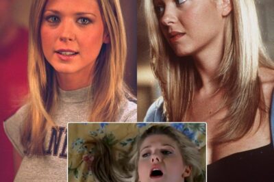 ‘Is that really her?’ Tara Reid, 49, just hit the red carpet looking NOTHING like her American Pie days! See the jaw-dropping new look everyone’s talking about!