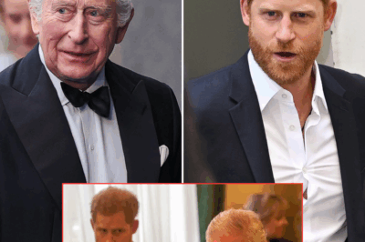 When Was the Last Time Prince Harry Saw King Charles III? Breaking Down Their Last Meeting Amid Rift