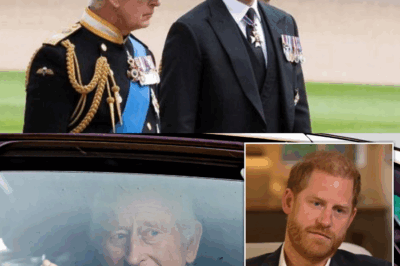 Prince Harry steps into the spotlight for the first time since the growing rift with King Charles, delivering a message that is as powerful as it is personal. His appearance is more than just a public act—it’s a statement of resilience, a declaration of his values, and perhaps even a subtle response to the tensions within the royal family. As he speaks, his words carry the weight of a man determined to carve his own path, while still honoring the legacy he was born into. Is this Harry’s way of reclaiming his voice amidst the chaos, or a heartfelt plea for understanding and unity? This moment leaves us wondering about the true cost of loyalty, love, and the courage to stand apart from tradition.