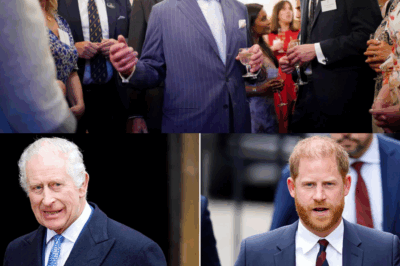 King Charles Addresses Public After Prince Harry’s Sh0cking Interview