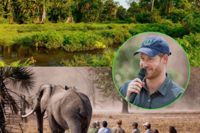 Charity linked to Prince Harry admits huma.n rights abuses in Congo park