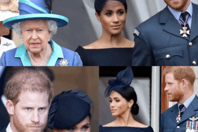 Prince Harry’s nuclear interview would have ‘horrified’ queen: expert