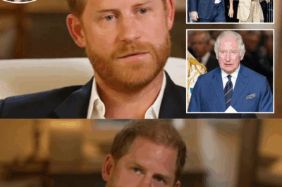 The Three Explosive Words from Prince Harry’s Astonishing Interview That Could Send Shockwaves Through the Palace and Escalate the Royal Security Row to Unprecedented Levels