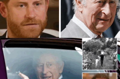 King Charles Makes First Public Appearance Following Prince Harry’s Explosive Interview – How the Duke’s Scathing Comments on Security Sparked a Royal Storm