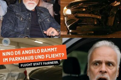 Verschwörung oder Wahrheit? Schlager-Legende Nino de Angelo bricht ihr Schweigen und reagiert auf die überraschenden Vorwürfe der Staatsanwaltschaft wegen Fahrerflucht – Was steckt wirklich dahinter?