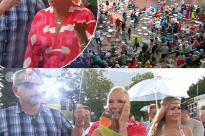 FERNSEHGARTEN ABGESOFFEN: ZDF SENDT MIT MALLE-STARS AUS EINEM MINI-STUDIO – WIE EIN ÜBERRASCHENDER SCHWUNG NEUE ENERGIE AUF DEN BILDschirm BRINGT!
