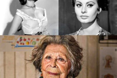 Sophia Loren öffnet sich mit 90 Jahren: Nach dem Ruhm von ‚La Ciociara‘ lebt sie heute in völliger Einsamkeit und ist von unvorstellbaren Tragödien geprägt – Was steckt wirklich hinter dem dramatischen Wandel in ihrem Leben?