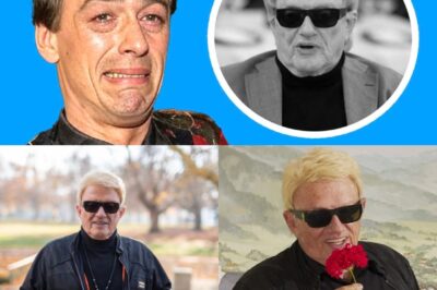 Die Welt in Trauer – Heinos Sohn bestätigt die traurige Wahrheit über das Ende einer Ära